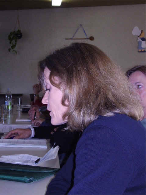Frau Braun bei ihrem Vortrag über die Arbeit des Stiftungsrats.